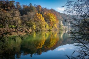 Reflets d'automne