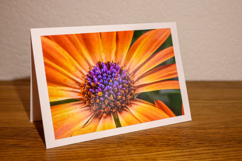 Fleur éclatante – Image 2