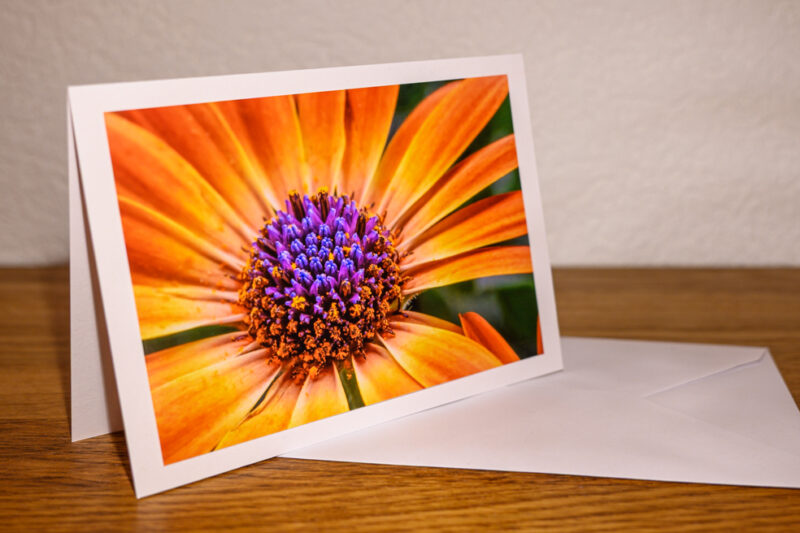 Fleur éclatante – Image 3