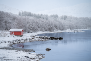 Paysage nordique